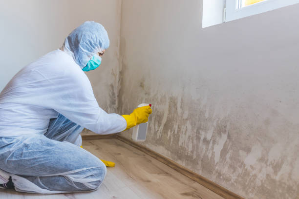 Licensed Crawl Space Mold Removal service in Midland, VA - WQB Mold Removal