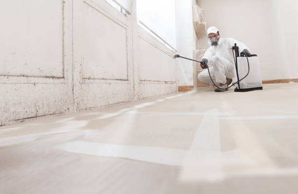 24/7 Emergency Crawl Space Mold Removal experts in Midland, VA