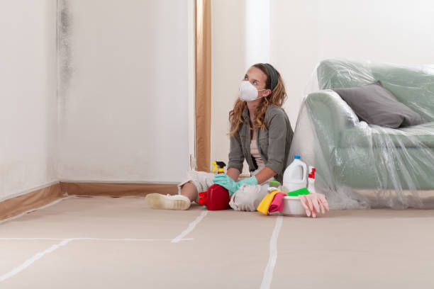 Reliable Crawl Space Mold Removal contractor in Midland, VA by WQB Mold Removal