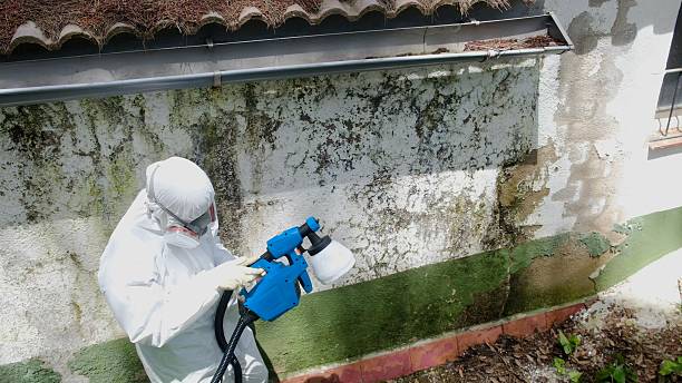 Top rated local Crawl Space Mold Removal specialists in Midland, VA